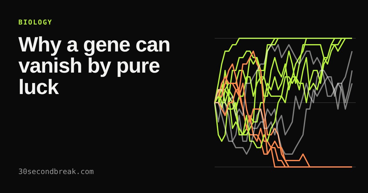 Twenty jagged lines tracing a gene's share of a population over generations; some hit the top, some the bottom, others wander in between