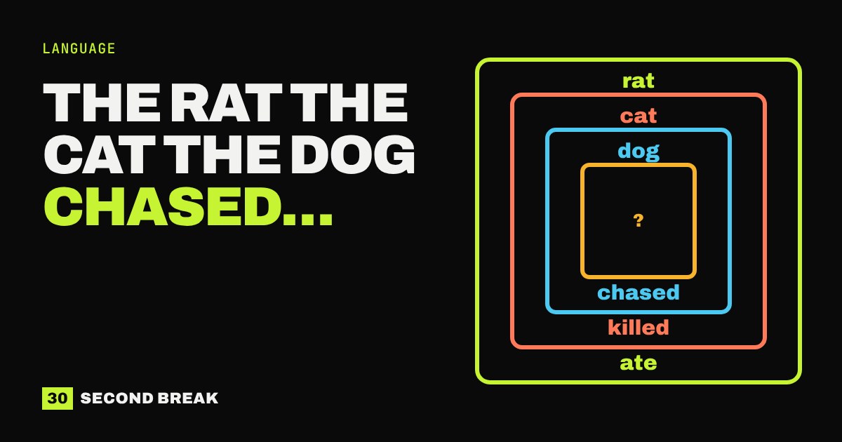 Four nested coloured boxes labelled rat, cat and dog on the way in and chased, killed and ate on the way out