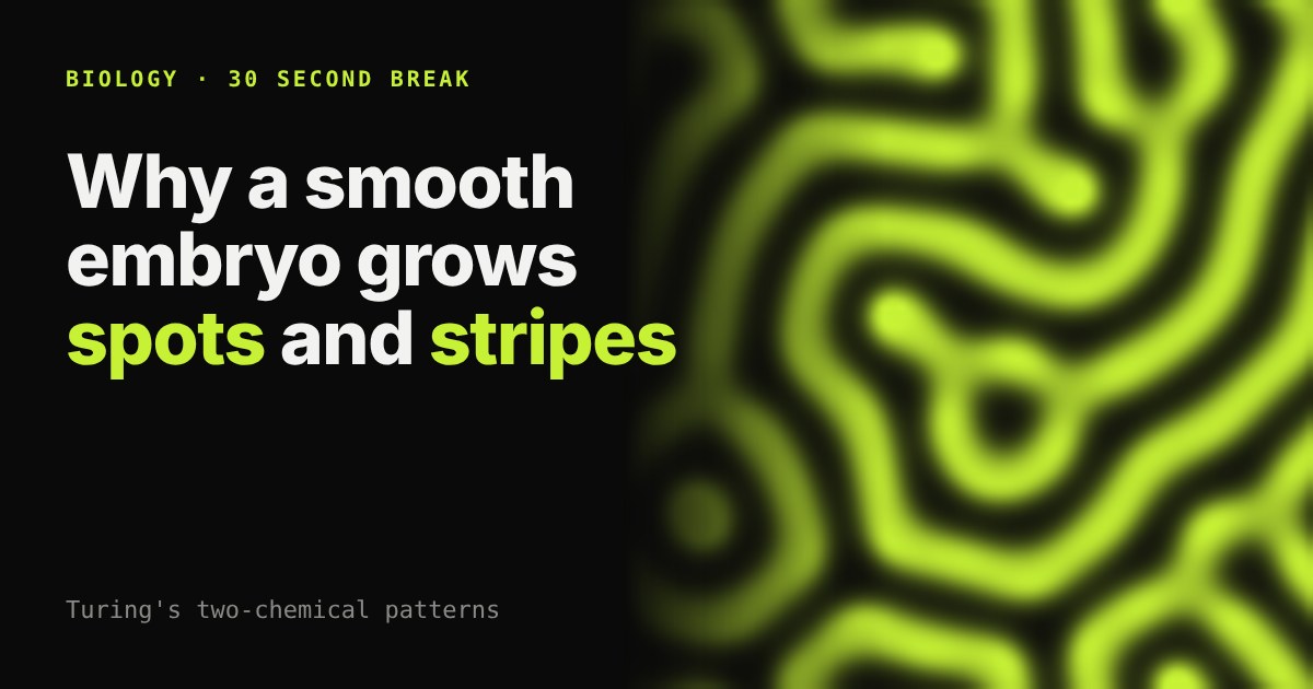 Glowing lime-green maze of stripes and spots on black, a reaction-diffusion pattern, beside the article title