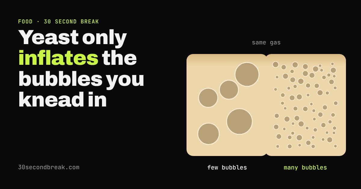 Two slices of dough: one with a few huge bubbles, one with many tiny bubbles, both holding the same gas