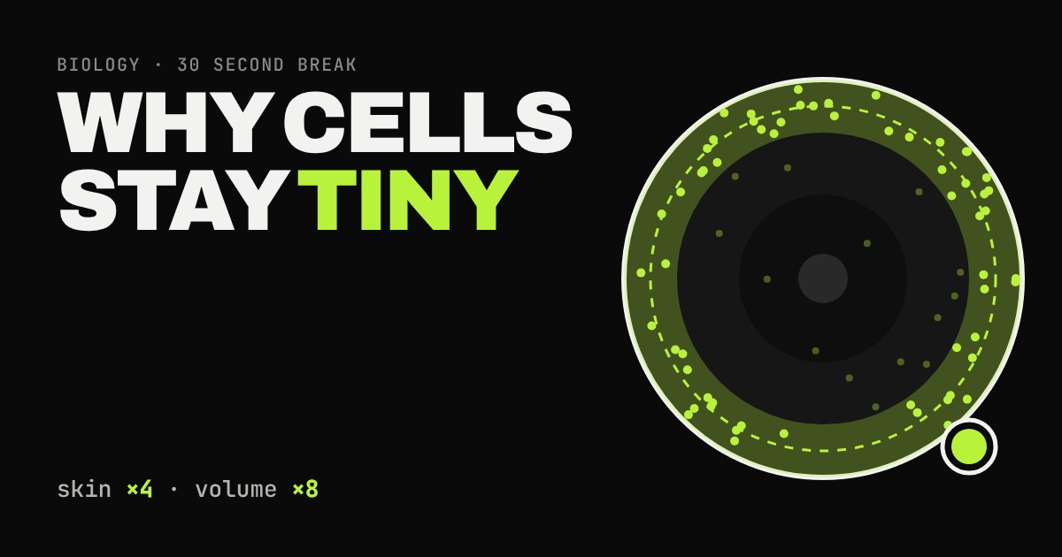 A cell drawn as a disc with a lime band near the edge showing how far food reaches, next to a tiny cell beside it