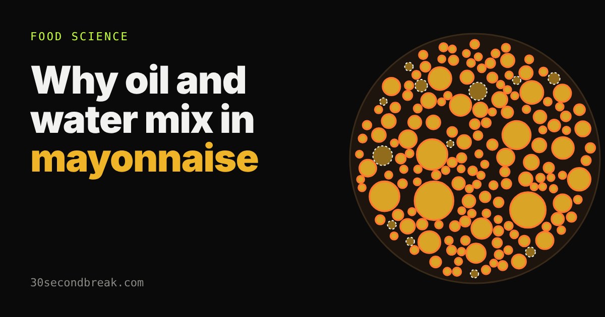 Cross-section of a bowl of mayonnaise: a crowd of orange-ringed gold oil droplets, a few bare ones with dashed outlines