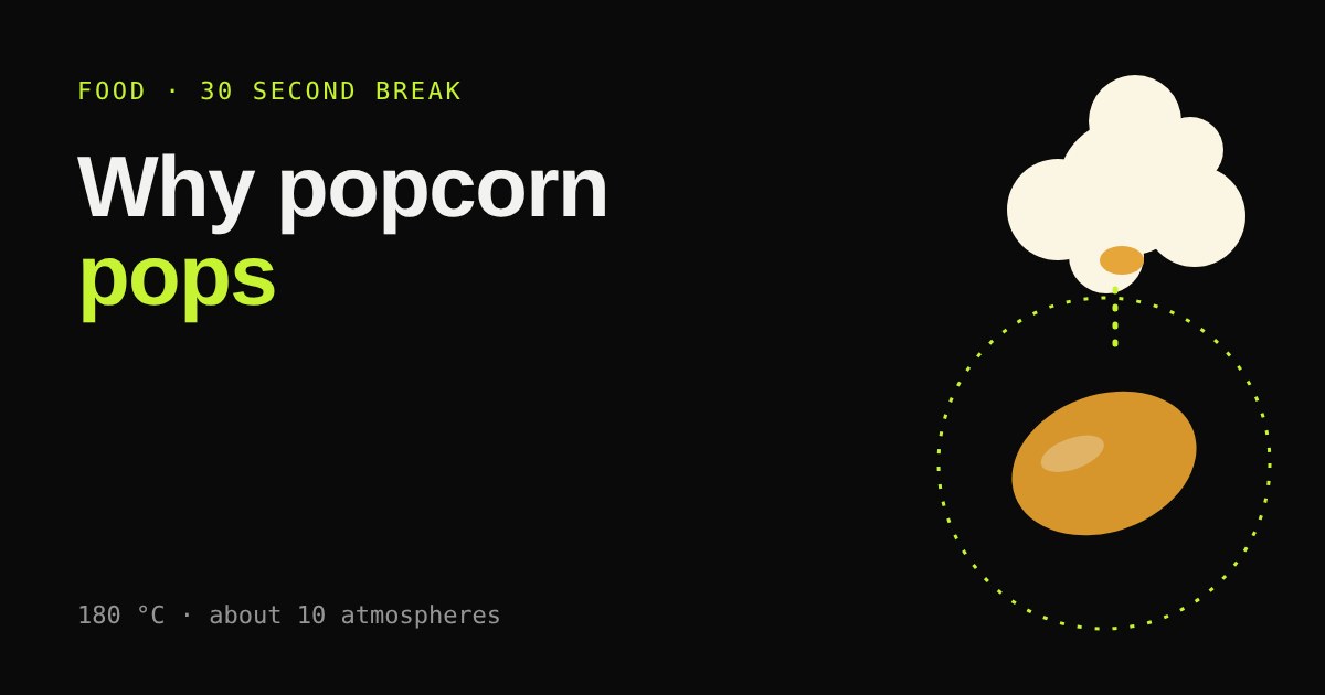 A golden popcorn kernel below a fluffy white popped flake, joined by a dotted line