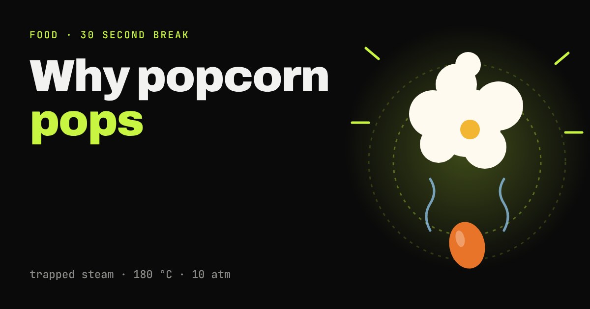 Cartoon of a white popped popcorn flake bursting above a red-hot kernel with steam rising, on a dark background