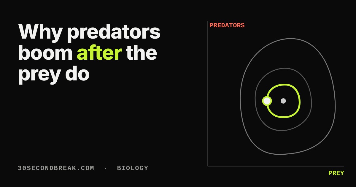 Closed loops around a central balance point, showing predator and prey numbers cycling