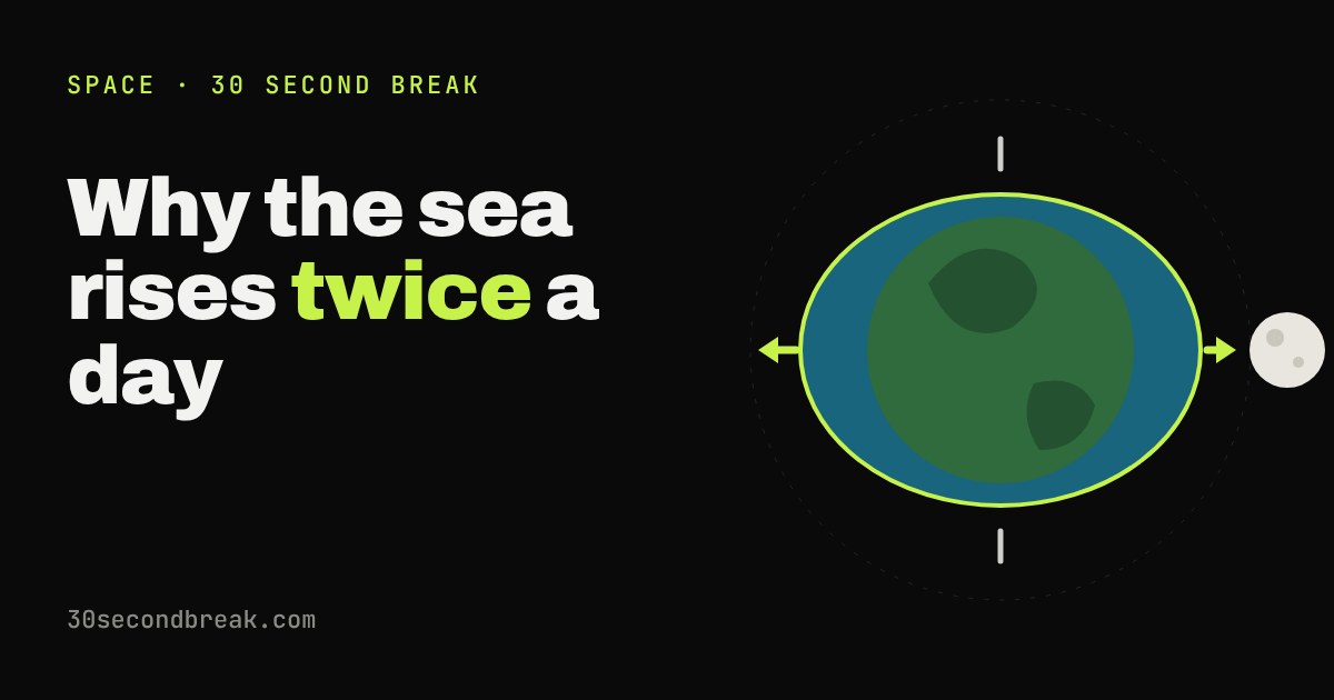 Top-down Earth with its ocean stretched into two bulges, one toward the Moon and one away